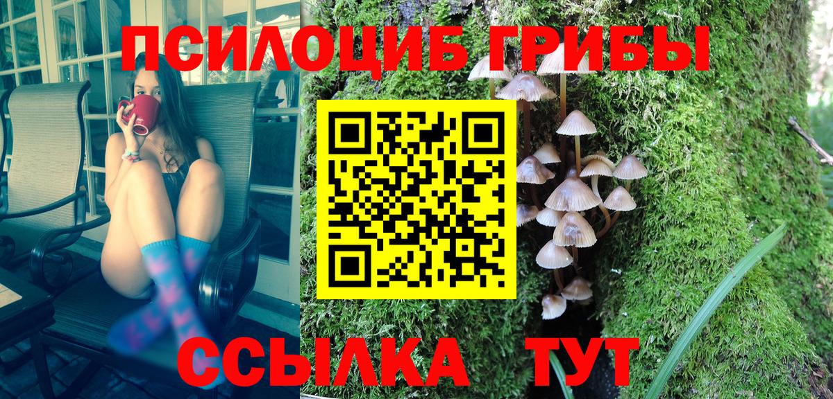Псилоцибиновые грибы мицелий Лангепас