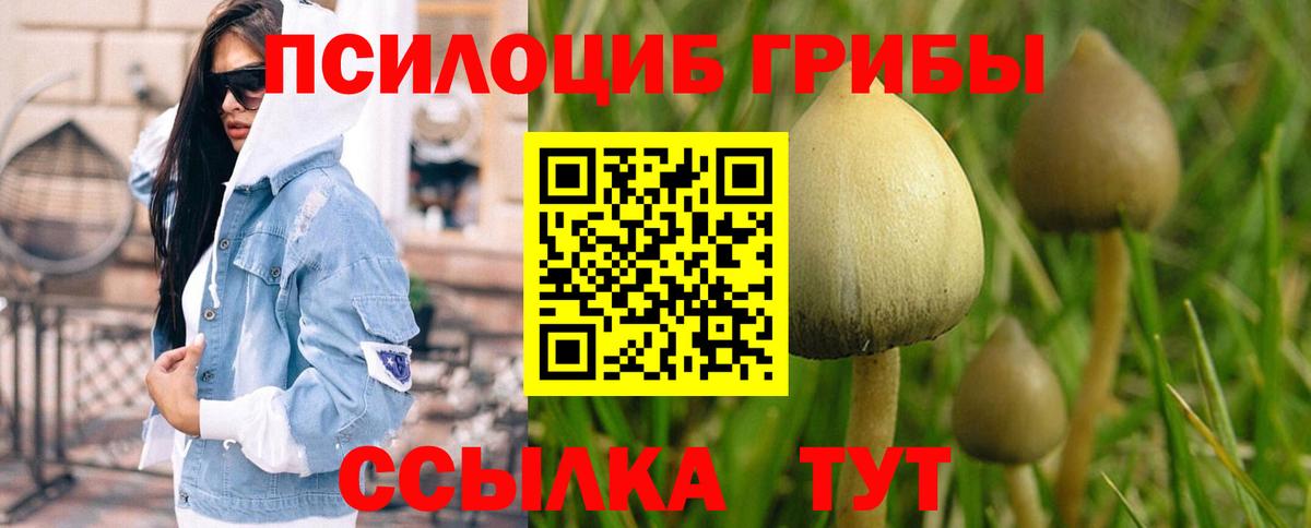 Псилоцибиновые грибы мицелий  Вход с VPN  Галлюциногенные грибы Psilocybe  Лангепас 